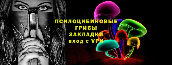молекула духа Новозыбков