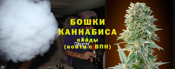 шишки Балабаново