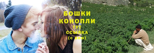 крисы Дмитровск