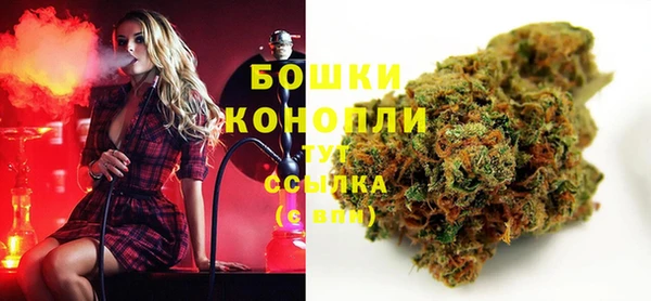 шишки Балабаново
