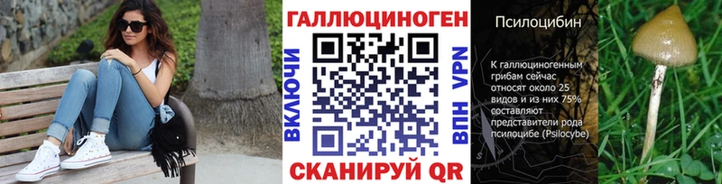 Псилоцибиновые грибы Psilocybine cubensis  Гурьевск 