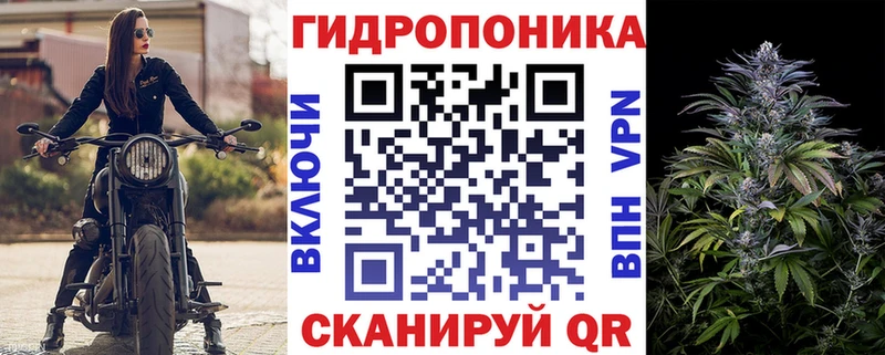 МАРИХУАНА White Widow  цены наркотик  мориарти телеграм  Гурьевск 